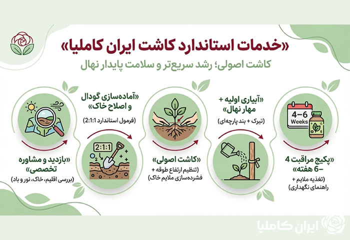 خدمات ایران کاملیا 